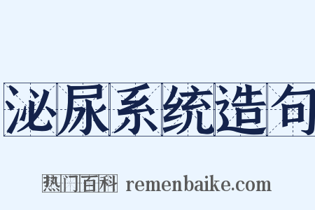 泌尿系统造句是什么意思的图片